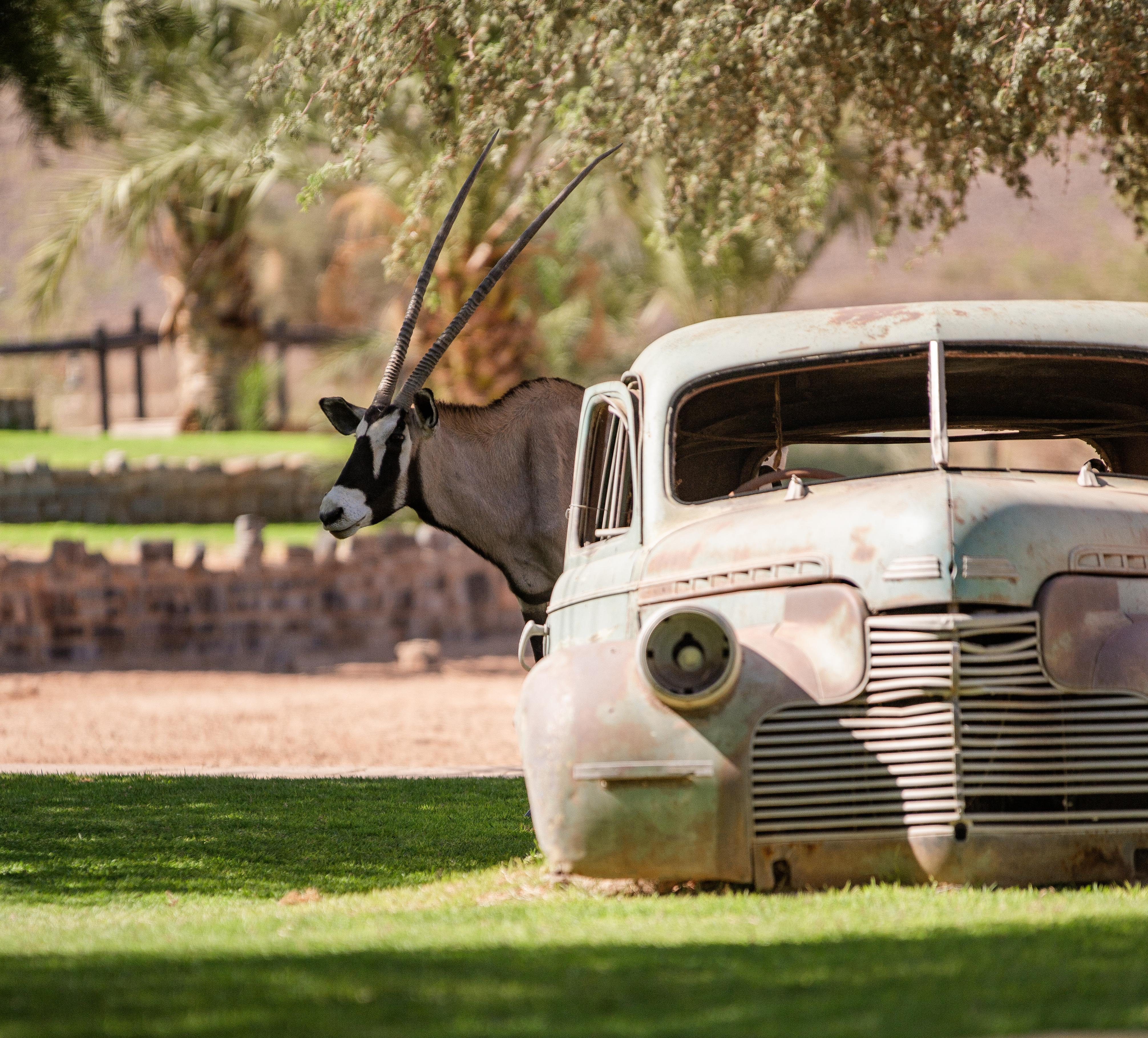 Canyon Roadhouse Fish River Canyon Екстериор снимка